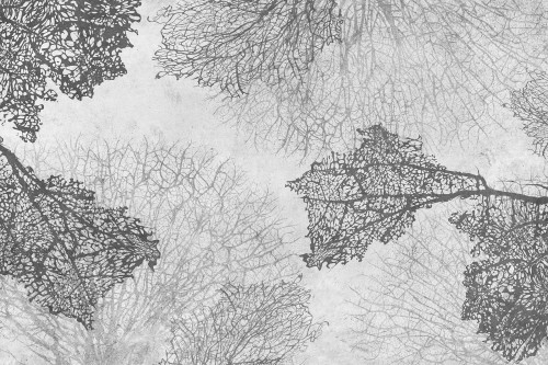 TPA-0324-0074-00 Grafit na jasnym betonie, kontrastowy, uniwersalny, chłodny.