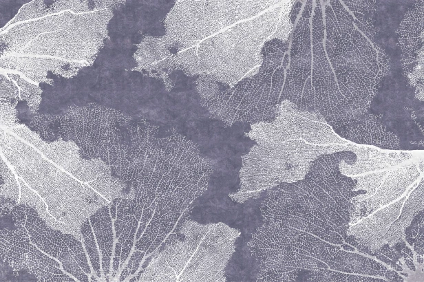 TPA-0324-0075-05 Grafitowo-lawendowy z białymi koralowcami jak negatyw, najbardziej wieczorowy i kontrastowy.