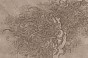 TPA-0324-0079-05 Sepia na fakturze lnu, płócienna. Cieplejszy, miękki i przytulny vintage.