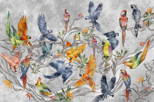 TPA-0525-0165-01 Jasny popielato-szary z tęczowymi papugami pomarańcz, czerwień, błękit, najbardziej kolorowy i radosny.