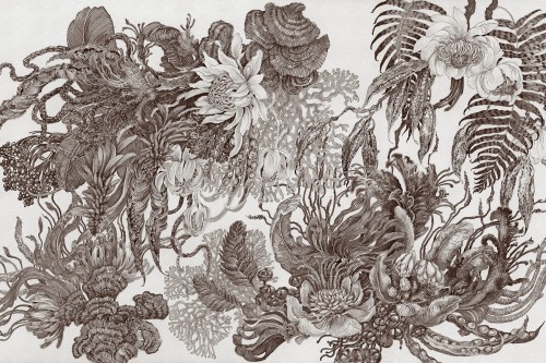 TPA-0924-0107-09 Ciemna, brązowa sepia. Jak stara książka botaniczna. Do biblioteki, gabinetu.