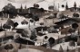 TPA-1224-0116-00 Ciemna, ziemista sepia. Brązy, czerń, écru. Najbardziej graficzny i nastrojowy. Do wnętrz wabi sabi, dark cottage, gabinetów, bibliotek.